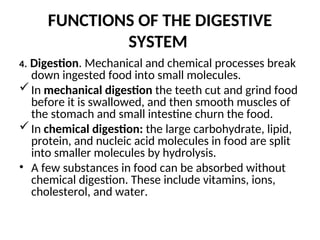 FUNCTIONS OF THE DIGESTIVE
SYSTEM
4. Digestion. Mechanical and chemical processes break
down ingested food into small molecules.
In mechanical digestion the teeth cut and grind food
before it is swallowed, and then smooth muscles of
the stomach and small intestine churn the food.
In chemical digestion: the large carbohydrate, lipid,
protein, and nucleic acid molecules in food are split
into smaller molecules by hydrolysis.
• A few substances in food can be absorbed without
chemical digestion. These include vitamins, ions,
cholesterol, and water.
 