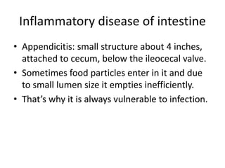 Inflammatory disease of intestine
• Appendicitis: small structure about 4 inches,
attached to cecum, below the ileocecal valve.
• Sometimes food particles enter in it and due
to small lumen size it empties inefficiently.
• That’s why it is always vulnerable to infection.
 