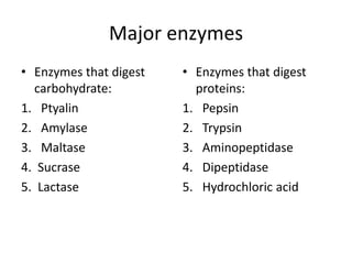 Major enzymes
• Enzymes that digest
carbohydrate:
1. Ptyalin
2. Amylase
3. Maltase
4. Sucrase
5. Lactase
• Enzymes that digest
proteins:
1. Pepsin
2. Trypsin
3. Aminopeptidase
4. Dipeptidase
5. Hydrochloric acid
 