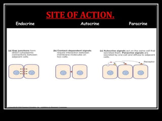 Gastrointestinal endocrine system ppt | PPTX