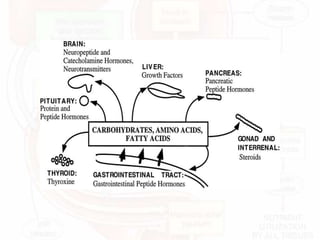 Gastrointestinal endocrine system ppt | PPTX