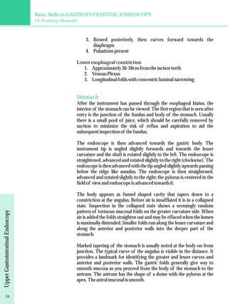 Basic Skills in GASTROINTESTINAL ENDOSCOPY 
(A Training Manual) 
3. Bowed posteriorly, then curves forward towards the 
diaphragm 
4. Pulsations present 
Lower esophageal constriction 
1. Approximately 36-38cm from the incisor teeth 
2. Venous Plexus 
3. Longitudinal folds with concentric luminal narrowing 
Stomach 
After the instrument has passed through the esophageal hiatus, the 
interior of the stomach can be viewed. The first region that is seen after 
entry is the junction of the fundus and body of the stomach. Usually 
there is a small pool of juice, which should be carefully removed by 
suction to minimize the risk of reflux and aspiration to aid the 
subsequent inspection of the fundus. 
The endoscope is then advanced towards the gastric body. The 
instrument tip is angled slightly forwards and towards the lesser 
curvature and the shaft is rotated slightly to the left. The endoscope is 
straightened, advanced and rotated slightly to the right (clockwise). The 
endoscope is then advanced with the tip angled slightly upwards passing 
below the ridge like annulus. The endoscope is then straightened, 
advanced and rotated slightly to the right; the pylorus is centered in the 
field of view and endoscope is advanced towards it. 
The body appears as funnel shaped cavity that tapers down to a 
constriction at the angulus. Before air is insufflated it is in a collapsed 
state. Inspection in the collapsed state shows a seemingly random 
pattern of tortuous mucosal folds on the greater curvature side. When 
air is added the folds straighten out and may be effaced when the lumen 
is maximally distended. Smaller folds run along the lesser curvature and 
along the anterior and posterior walls into the deeper part of the 
stomach. 
Marked tapering of the stomach is usually noted at the body on from 
junction. The typical curve of the angulus is visible in the distance. It 
provides a landmark for identifying the greater and lesser curves and 
anterior and posterior walls. The gastric folds generally give way to 
smooth mucosa as you proceed from the body of the stomach to the 
antrum. The antrum has the shape of a dome with the pylorus at the 
apex. The antral mucosal is smooth. 
56 Upper Gastrointestinal Endoscopy 
 