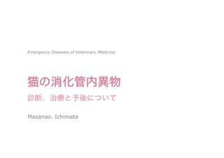 猫の消化管内異物
Masanao. Ichimata
Emergency Diseases of Veterinary Medicine
疫学、診断、治療と予後について
 