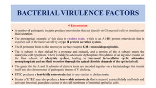 BACTERIAL VIRULENCE FACTORS
Enterotoxins-
 A number of pathogenic bacteria produce enterotoxins that act directly on GI mucosal cells to stimulate net
fluid secretion.
 The prototypical example of this class is cholera toxin, which is an A1-B5 protein enterotoxin that is
exported out of the bacterial cell by a type II protein secretion system.
 The B pentamer binds to the enterocyte surface receptor GM1 monosialoganglioside.
 The A subunit is then nicked by a protease and reduced, and a portion of the A subunit enters the
eukaryotic cell cytoplasm, where it catalyzes adenosine diphosphate ribosylation of an arginine residue on
the Gsα subunit of adenylate cyclase, leading to increased intracellular cyclic adenosine
monophosphate and net fluid secretion through the apical chloride channels of the epithelial cell.
 The genes for the A and B subunits of cholera toxin are encoded together on a bacteriophage that inserts
itself into the chromosome of pathogenic strains of V. cholerae.
 ETEC produces a heat-labile enterotoxin that is very similar to cholera toxin.
 Strains of ETEC may also produce a heat-stable enterotoxin that is secreted extracellularly and binds and
activates intestinal guanylate cyclase in the cell membrane of intestinal epithelial cells.
 