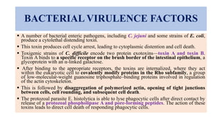 BACTERIAL VIRULENCE FACTORS
 A number of bacterial enteric pathogens, including C. jejuni and some strains of E. coli,
produce a cytolethal distending toxin.
 This toxin produces cell cycle arrest, leading to cytoplasmic distention and cell death.
 Toxigenic strains of C. difficile encode two protein exotoxins—toxin A and toxin B.
Toxin A binds to a specific receptor on the brush border of the intestinal epithelium, a
glycoprotein with an α-linked galactose.
 After binding to the appropriate receptors, the toxins are internalized, where they act
within the eukaryotic cell to covalently modify proteins in the Rho subfamily, a group
of low-molecular-weight guanosine triphosphate–binding proteins involved in regulation
of the actin cytoskeleton.
 This is followed by disaggregation of polymerized actin, opening of tight junctions
between cells, cell rounding, and subsequent cell death.
 The protozoal parasite E. histolytica is able to lyse phagocytic cells after direct contact by
release of a protozoal phospholipase A and pore-forming peptides. The action of these
toxins leads to direct cell death of responding phagocytic cells.
 