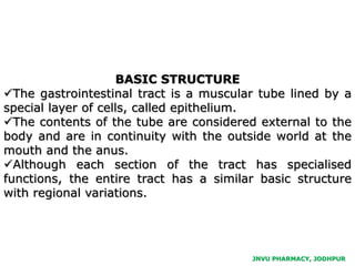 JNVU PHARMACY, JODHPUR
BASIC STRUCTURE
The gastrointestinal tract is a muscular tube lined by a
special layer of cells, called epithelium.
The contents of the tube are considered external to the
body and are in continuity with the outside world at the
mouth and the anus.
Although each section of the tract has specialised
functions, the entire tract has a similar basic structure
with regional variations.
 
