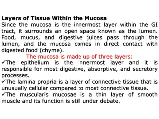 Layers of Tissue Within the Mucosa
Since the mucosa is the innermost layer within the GI
tract, it surrounds an open space known as the lumen.
Food, mucus, and digestive juices pass through the
lumen, and the mucosa comes in direct contact with
digested food (chyme).
The mucosa is made up of three layers:
The epithelium is the innermost layer and it is
responsible for most digestive, absorptive, and secretory
processes.
The lamina propria is a layer of connective tissue that is
unusually cellular compared to most connective tissue.
The muscularis mucosae is a thin layer of smooth
muscle and its function is still under debate.
 