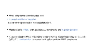 • MALT lymphoma can be divided into
• H. pylori positive or negative
based on the presence of Helicobacter pylori.
• Most patients (>90%) with gastric MALT lymphoma are H. pylori positive
• H. pylori negative MALT lymphoma tends to have a higher frequency for t(11;18)
(q21;q21) translocation compared to H. pylori positive MALT lymphoma
 