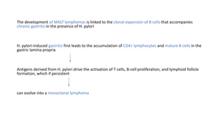 The development of MALT lymphomas is linked to the clonal expansion of B cells that accompanies
chronic gastritis in the presence of H. pylori
H. pylori-induced gastritis first leads to the accumulation of CD4+ lymphocytes and mature B cells in the
gastric lamina propria
Antigens derived from H. pylori drive the activation of T cells, B-cell proliferation, and lymphoid follicle
formation, which if persistent
can evolve into a monoclonal lymphoma
 