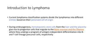 • Current lymphoma classification systems divide the lymphomas into different
entities based on their perceived cell of origin
• During embryogenesis, hematopoietic stem cells from the liver and the placenta
give rise to progenitor cells that migrate to the Bone marrow and the Thymus
where they undergo a program of antigen-independent differentiation into B-
and T-cell lineage precursor cells, respectively
Introduction to Lymphoma
 