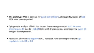 • The prototype MCL is positive for pan B-cell antigens, although few cases of CD5-
MCL have been reported
• Cytogenetic analysis of MCL has shown the rearrangement of bcl-1 locus on
chromosome 11 due to t (11;14) (q13;q32) translocation, accompanying cyclin D1
antigen overexpression.
• Few cases of cyclin D1-negative MCL, however, have been reported with up-
regulated cyclin D2 or D3
 