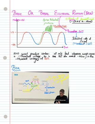 GASTROINTESTINAL MOTILITY short notes for mbbs | PDF
