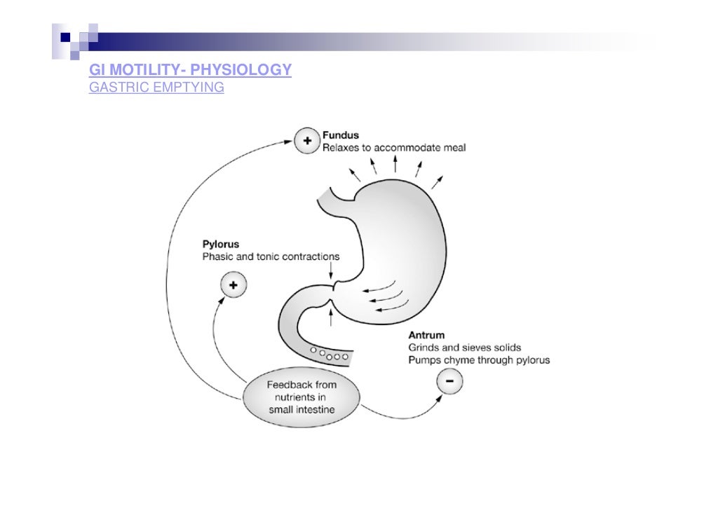 Gastrointestinal motility disorders in critically ill patients