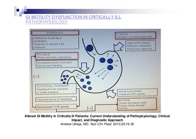 metoclopramide gastrointestinal motility disorders