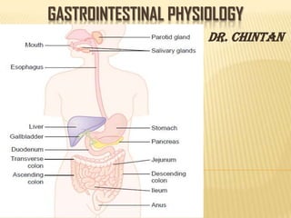 GASTROINTESTINAL PHYSIOLOGY
- Dr. Chintan
 