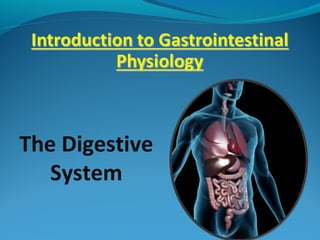 The Digestive
System
 