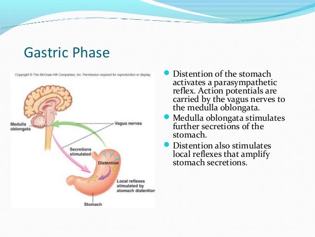 Gastrointestinal physiology