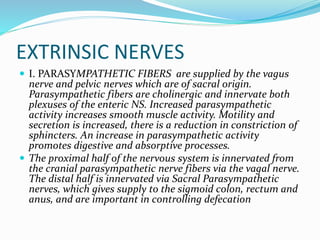 Extrinsic Innervation Gastrointestinal physiology | PPTX
