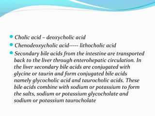 Cholic acid – deoxycholic acid
Chenodeoxycholic acid----- lithocholic acid
Secondary bile acids from the intestine are ...