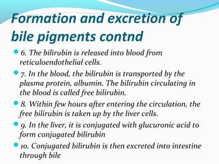 Formation and excretion of
bile pigments contnd
6. The bilirubin is released into blood from
reticuloendothelial cells.
...