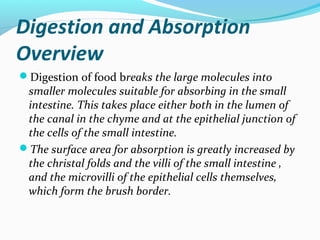 Digestion and Absorption
Overview
Digestion of food breaks the large molecules into
smaller molecules suitable for absorb...