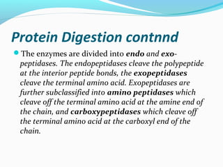 Protein Digestion contnnd
The enzymes are divided into endo and exo-
peptidases. The endopeptidases cleave the polypeptid...