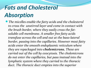 Fats and Cholesterol
Absorption
The micelles enable the fatty acids and the cholesterol
to cross the unstirred layer and ...