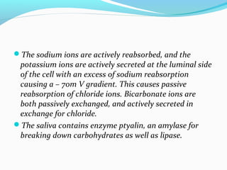 The sodium ions are actively reabsorbed, and the
potassium ions are actively secreted at the luminal side
of the cell wit...