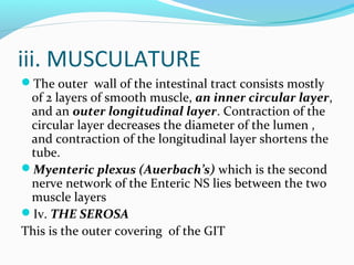 iii. MUSCULATURE
The outer wall of the intestinal tract consists mostly
of 2 layers of smooth muscle, an inner circular l...