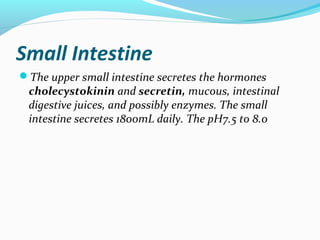 Small Intestine
The upper small intestine secretes the hormones
cholecystokinin and secretin, mucous, intestinal
digestiv...