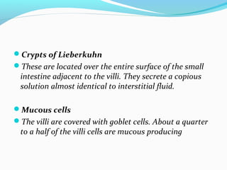 Crypts of Lieberkuhn
These are located over the entire surface of the small
intestine adjacent to the villi. They secret...