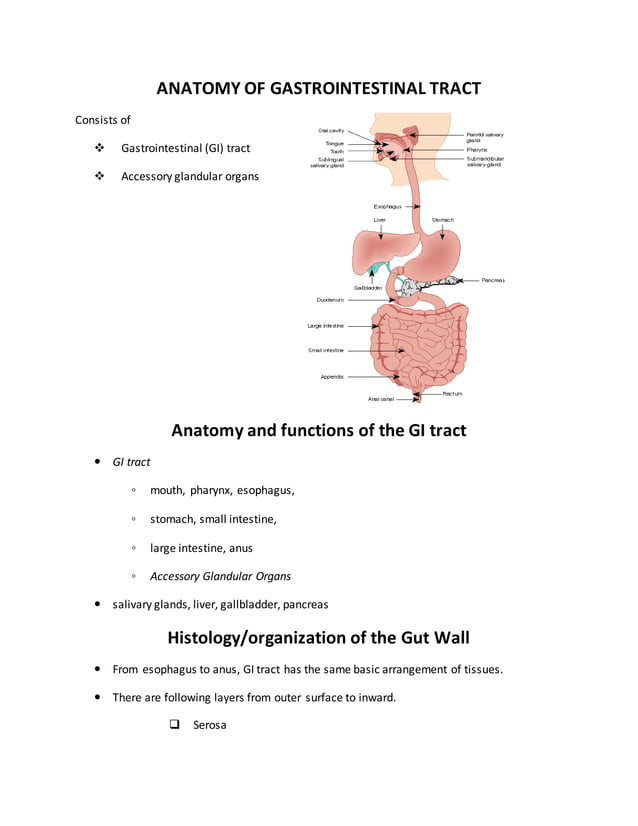 GASTROINTESTINAL PHYSIOLOGY (The Guyton and Hall Physiology) PDF