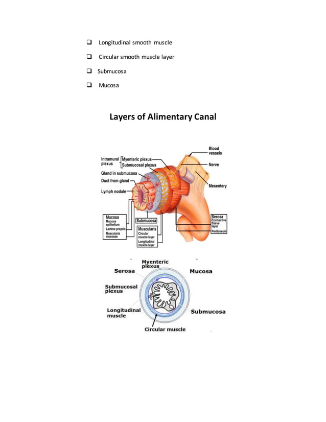 GASTROINTESTINAL PHYSIOLOGY (The Guyton and Hall Physiology) PDF