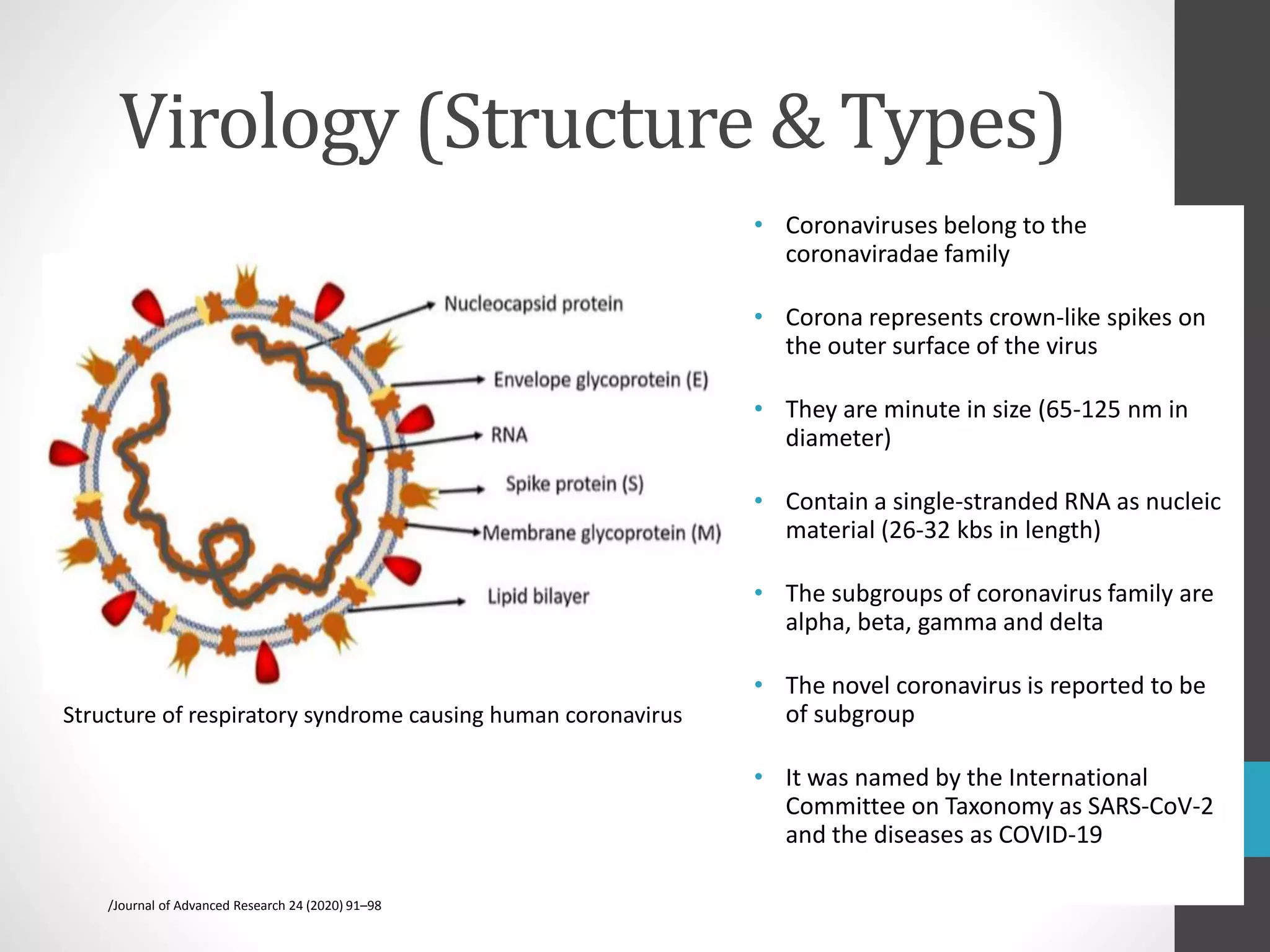 Corona Types Gastrointestinal Manifestations of Covid 19 piyush | PPTX