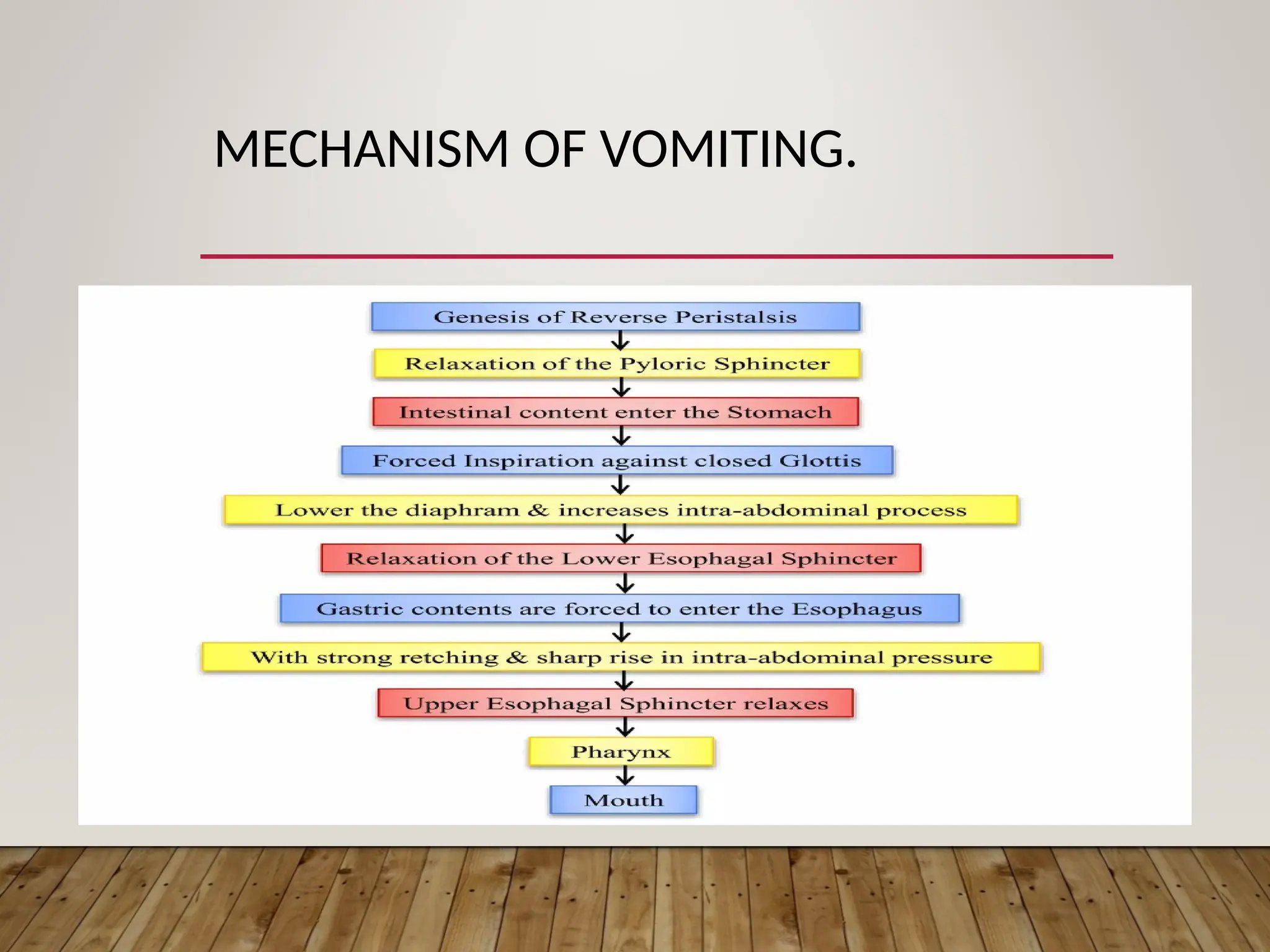 GIT Physiology - Gastrointestinal reflexes..ppt