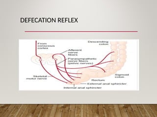 GIT Physiology - Gastrointestinal reflexes..ppt