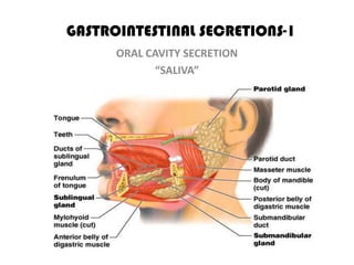 GASTROINTESTINAL SECRETIONS-1
      ORAL CAVITY SECRETION
            “SALIVA”
 