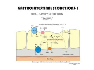 GASTROINTESTINAL SECRETIONS-1
      ORAL CAVITY SECRETION
            “SALIVA”
 