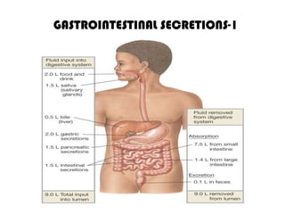 GASTROINTESTINAL SECRETIONS-1
 