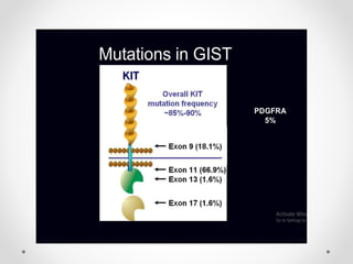 Gastrointestinal Stromal Tumour ( GIST) (D1) | PPTX