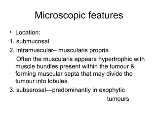 Microscopic features
• Location:
1. submucosal
2. intramuscular– muscularis propria
Often the muscularis appears hypertrophic with
muscle bundles present within the tumour &
forming muscular septa that may divide the
tumour into lobules.
3. subserosal—predominantly in exophytic
tumours
 