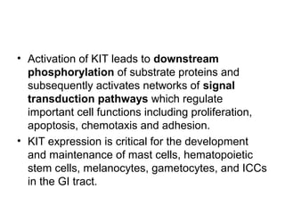 • Activation of KIT leads to downstream
phosphorylation of substrate proteins and
subsequently activates networks of signal
transduction pathways which regulate
important cell functions including proliferation,
apoptosis, chemotaxis and adhesion.
• KIT expression is critical for the development
and maintenance of mast cells, hematopoietic
stem cells, melanocytes, gametocytes, and ICCs
in the GI tract.
 