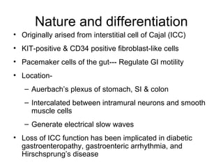 Nature and differentiation
• Originally arised from interstitial cell of Cajal (ICC)
• KIT-positive & CD34 positive fibroblast-like cells
• Pacemaker cells of the gut--- Regulate GI motility
• Location-
– Auerbach’s plexus of stomach, SI & colon
– Intercalated between intramural neurons and smooth
muscle cells
– Generate electrical slow waves
• Loss of ICC function has been implicated in diabetic
gastroenteropathy, gastroenteric arrhythmia, and
Hirschsprung’s disease
 