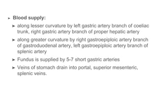 ➤ Blood supply:
➤ along lesser curvature by left gastric artery branch of coeliac
trunk, right gastric artery branch of proper hepatic artery
➤ along greater curvature by right gastroepiploic artery branch
of gastroduodenal artery, left gastroepiploic artery branch of
splenic artery
➤ Fundus is supplied by 5-7 short gastric arteries
➤ Veins of stomach drain into portal, superior mesenteric,
splenic veins.
 