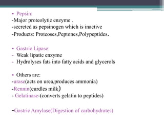 • Pepsin:
-Major proteolytic enzyme .
-secreted as pepsinogen which is inactive
-Products: Proteoses,Peptones,Polypeptides.
• Gastric Lipase:
- Weak lipatic enzyme
- Hydrolyses fats into fatty acids and glycerols
• Others are:
-urase(acts on urea,produces ammonia)
-Rennin(curdles milk)
- Gelatinase-(converts gelatin to peptides)

-Gastric Amylase(Digestion of carbohydrates)

 
