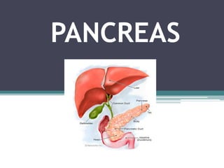 PANCREAS

 