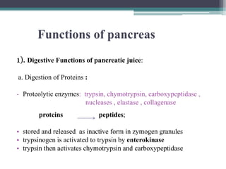 Functions of pancreas
1). Digestive Functions of pancreatic juice:
a. Digestion of Proteins :
- Proteolytic enzymes: trypsin, chymotrypsin, carboxypeptidase ,
nucleases , elastase , collagenase
proteins

peptides;

• stored and released as inactive form in zymogen granules
• trypsinogen is activated to trypsin by enterokinase
• trypsin then activates chymotrypsin and carboxypeptidase

 