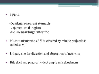 • 3 Parts:

-Duodenum-nearest stomach
-Jejunum- mid-region
-Ileum- near large intestine
• Mucous membrane of SI is covered by minute projections
called as villi
• Primary site for digestion and absorption of nutrients
• Bile duct and pancreatic duct empty into duodenum

 