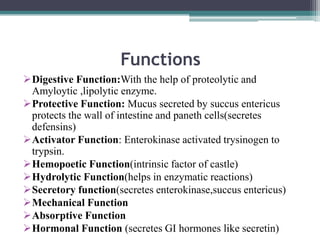 Functions
Digestive Function:With the help of proteolytic and
Amyloytic ,lipolytic enzyme.
Protective Function: Mucus secreted by succus entericus
protects the wall of intestine and paneth cells(secretes
defensins)
Activator Function: Enterokinase activated trysinogen to
trypsin.
Hemopoetic Function(intrinsic factor of castle)
Hydrolytic Function(helps in enzymatic reactions)
Secretory function(secretes enterokinase,succus entericus)
Mechanical Function
Absorptive Function
Hormonal Function (secretes GI hormones like secretin)

 
