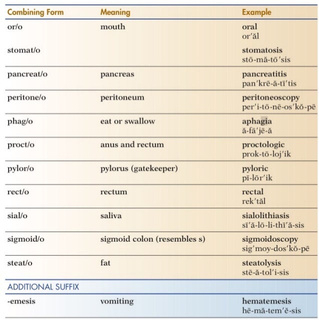 gastrointestinal system combining form meaning rectum